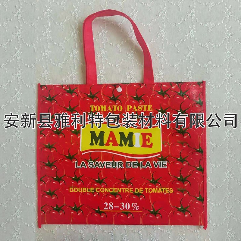 无纺布购物袋